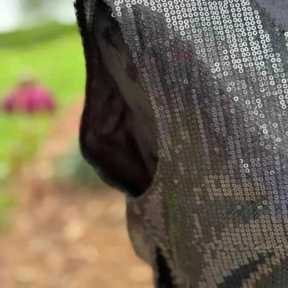 The Limited Sexy black mini dress sleeveless sequins S Party Crusie date night - Picture 10 of 11